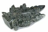 Kambaba Jasper “Maple Leaf” Sculpture or Soap Dish #378843-1